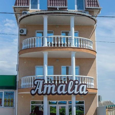 Amalia Hotel Zaliznyi Port Extérieur photo