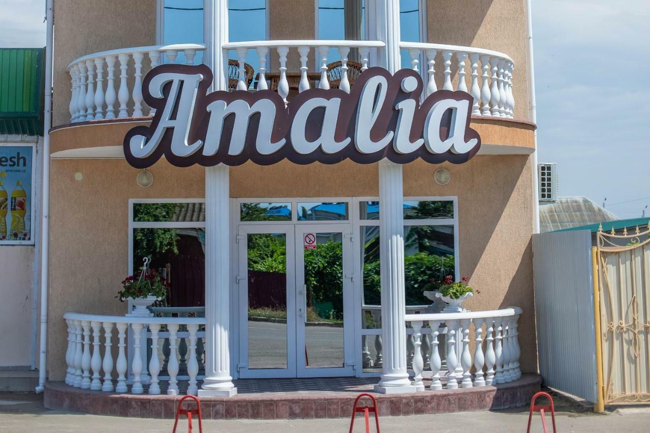 Amalia Hotel Zaliznyi Port Extérieur photo