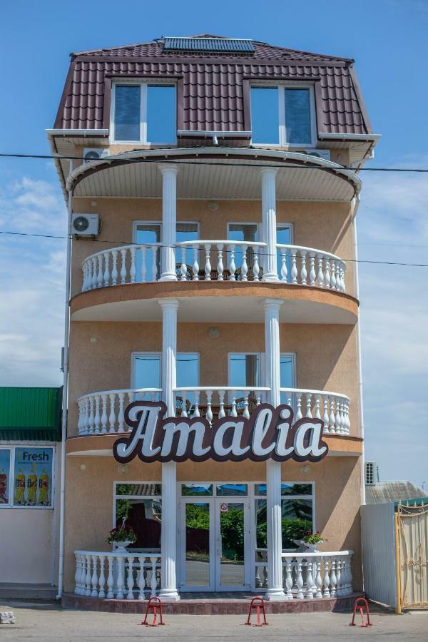 Amalia Hotel Zaliznyi Port Extérieur photo